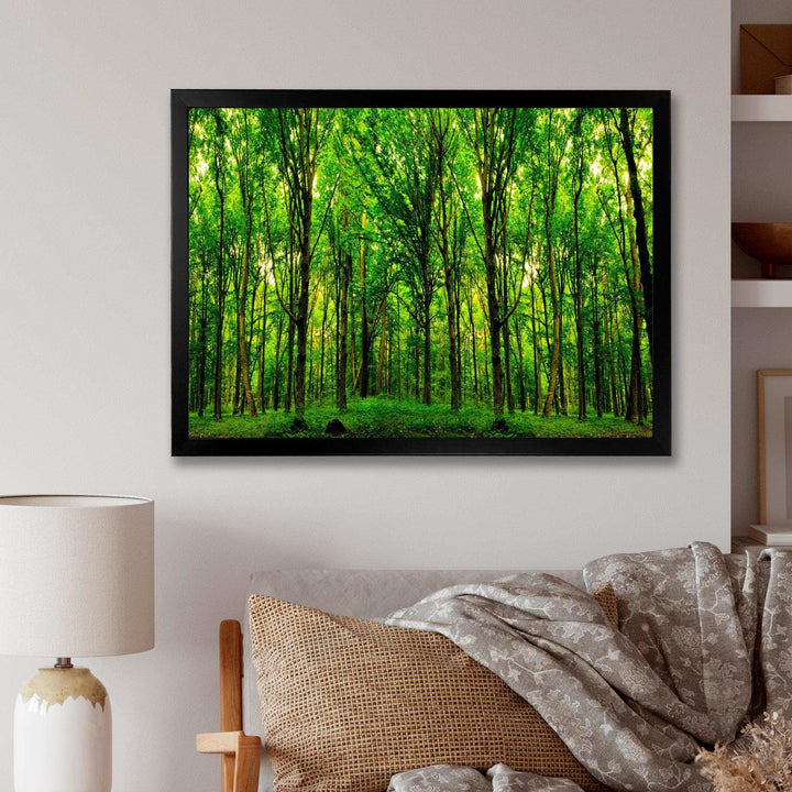Green Forest