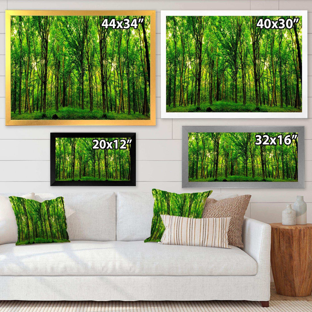 Green Forest