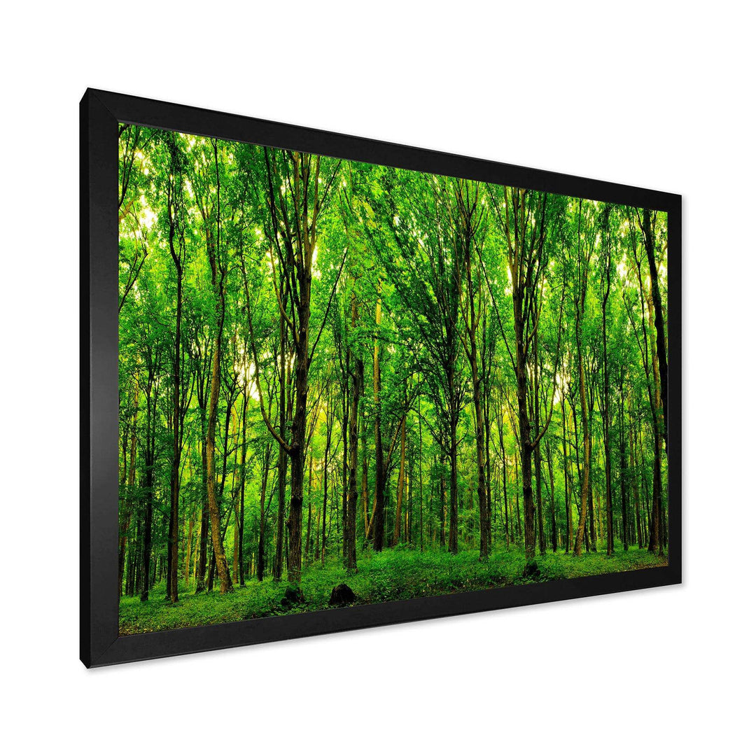 Green Forest