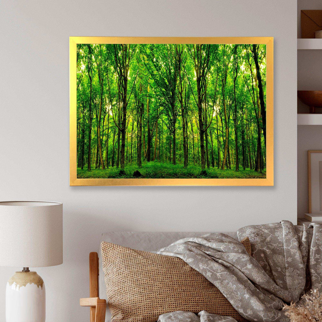 Green Forest