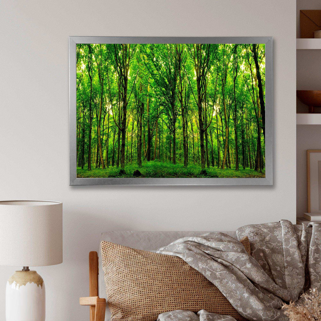 Green Forest