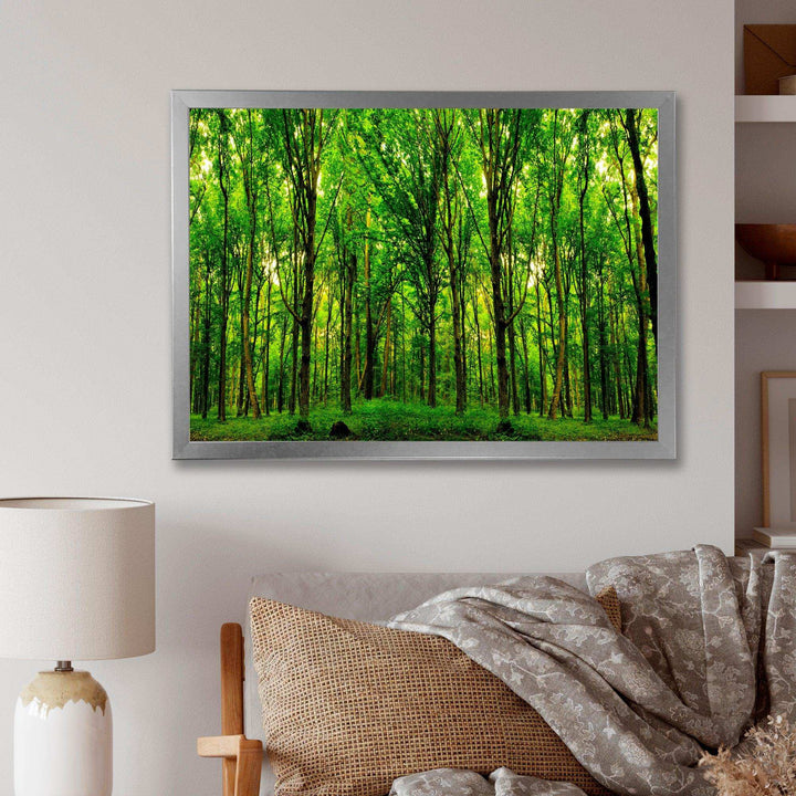 Green Forest