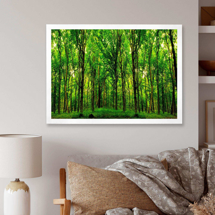 Green Forest