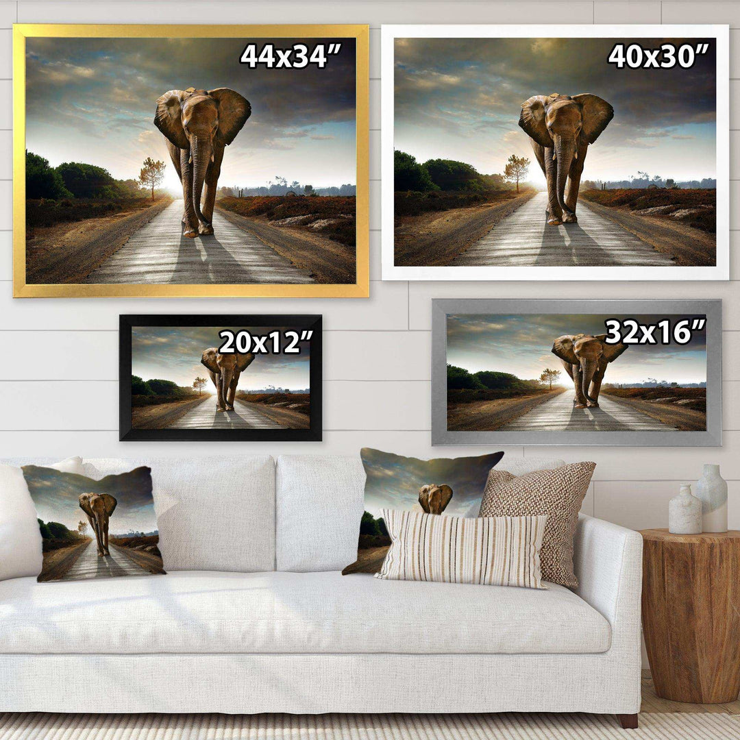 Single Walking Elephant