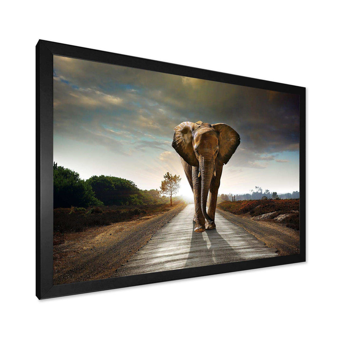 Single Walking Elephant