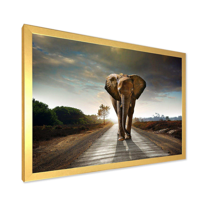 Single Walking Elephant