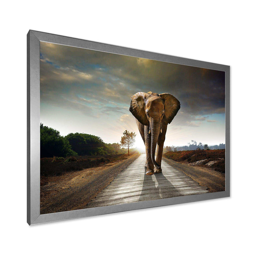 Single Walking Elephant