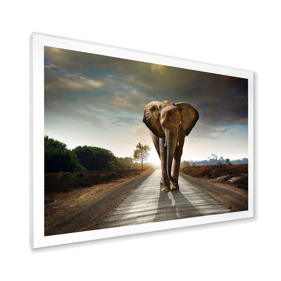 Single Walking Elephant