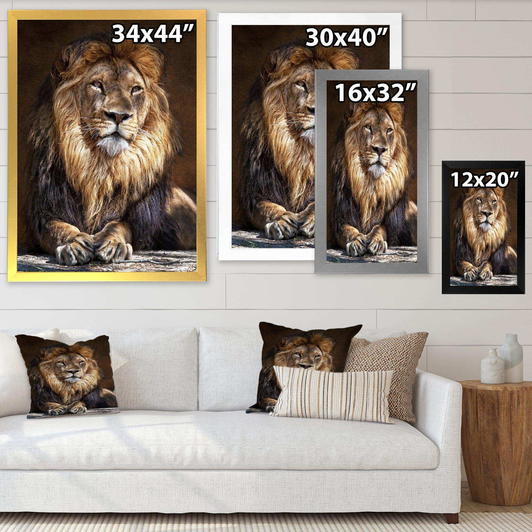 King Lion with Lighted Face