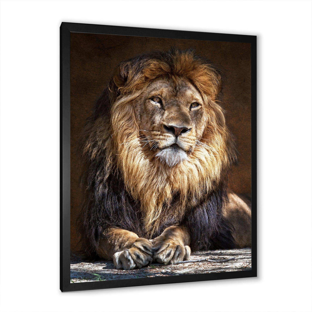 King Lion with Lighted Face