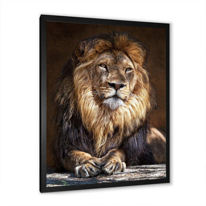 King Lion with Lighted Face