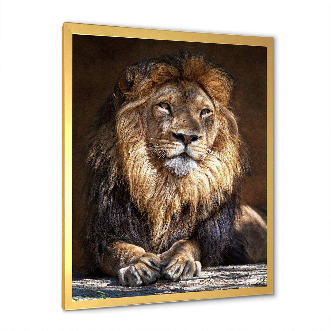King Lion with Lighted Face