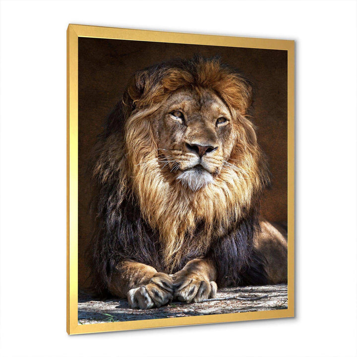 King Lion with Lighted Face
