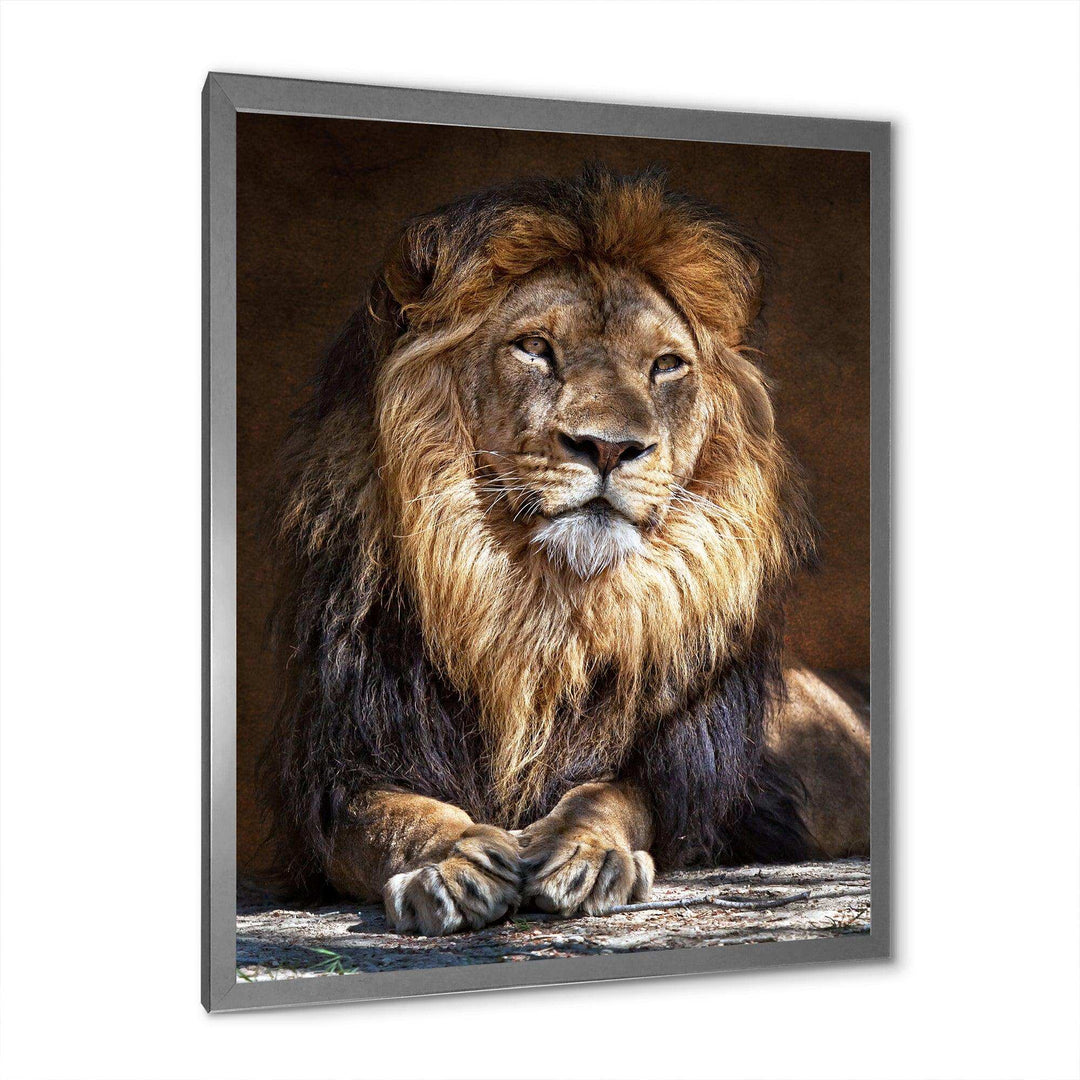 King Lion with Lighted Face