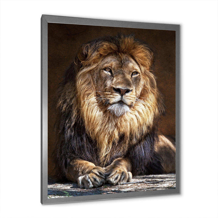 King Lion with Lighted Face