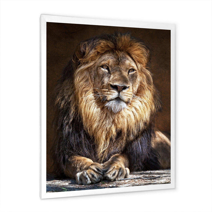 King Lion with Lighted Face