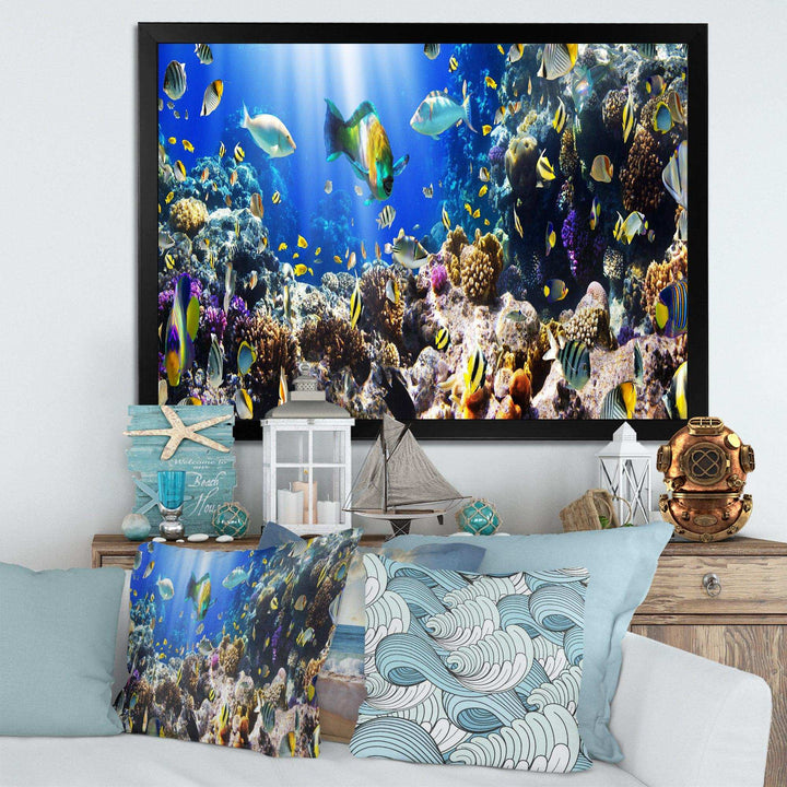 Coral Colony and Coral Fish