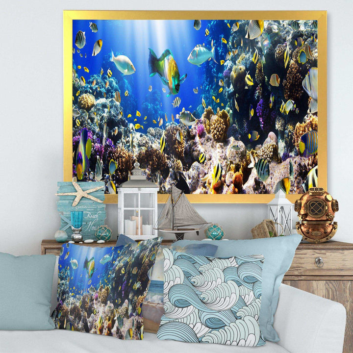 Coral Colony and Coral Fish