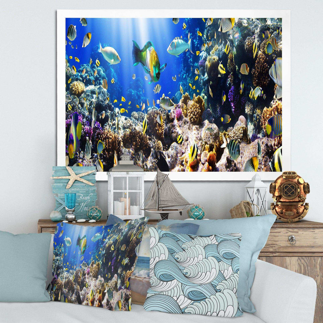 Coral Colony and Coral Fish