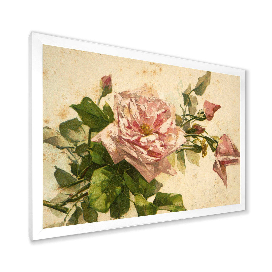 Pink Flower