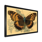 Vintage Illustration Of Butterfly II