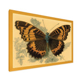 Vintage Illustration Of Butterfly II