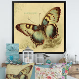 Vintage Illustration Of Butterfly V