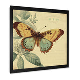 Vintage Illustration Of Butterfly VI