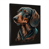 Dachshund On Black I