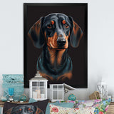 Dachshund On Black II