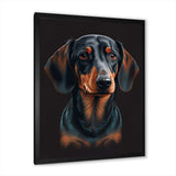 Dachshund On Black II