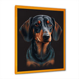 Dachshund On Black II