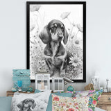 Black And White Dachshund