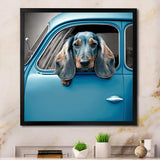 Portrait Of A Dachshund In A Blue Car I