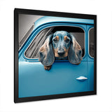 Portrait Of A Dachshund In A Blue Car I