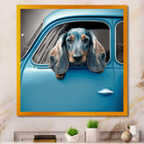 Portrait Of A Dachshund In A Blue Car I