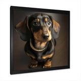 Daschund Portrait