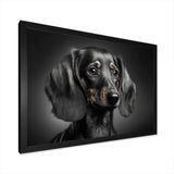 Portrait Of A Black Dachshund I