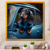 Portrait Of A Dachshund In A Blue Car III