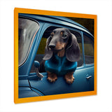 Portrait Of A Dachshund In A Blue Car III