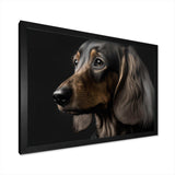 Portrait Of A Contemporary Dachshund