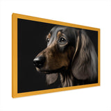 Portrait Of A Contemporary Dachshund