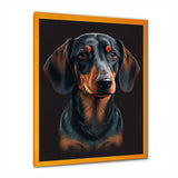 Portrait Of  Black And Brown Dachshund