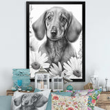 Black Dachshund With White Flowers I