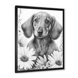 Black Dachshund With White Flowers I