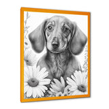 Black Dachshund With White Flowers I