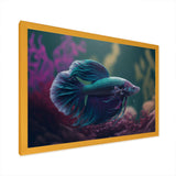 Magnificent Bettafish In Shades Of Blue And Purple I