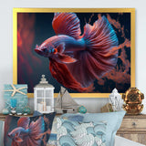 Magnificent Bettafish In Shades Of Blue And Purple II