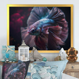 Magnificent Bettafish In Shades Of Blue And Purple III