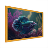 Magnificent Bettafish In Shades Of Blue And Purple VI